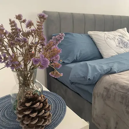 двухкомнатные в комплексе Thalassa Apartamento *